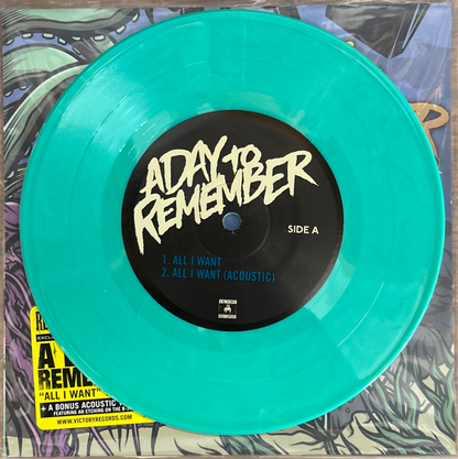 [Used 7"] A Day To Remember / All I Want