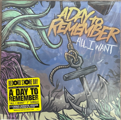 [Used 7"] A Day To Remember / All I Want