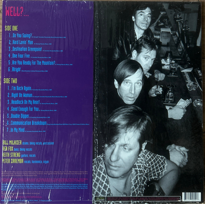 [Used LP] Fleshtones, The / Do You Swing?