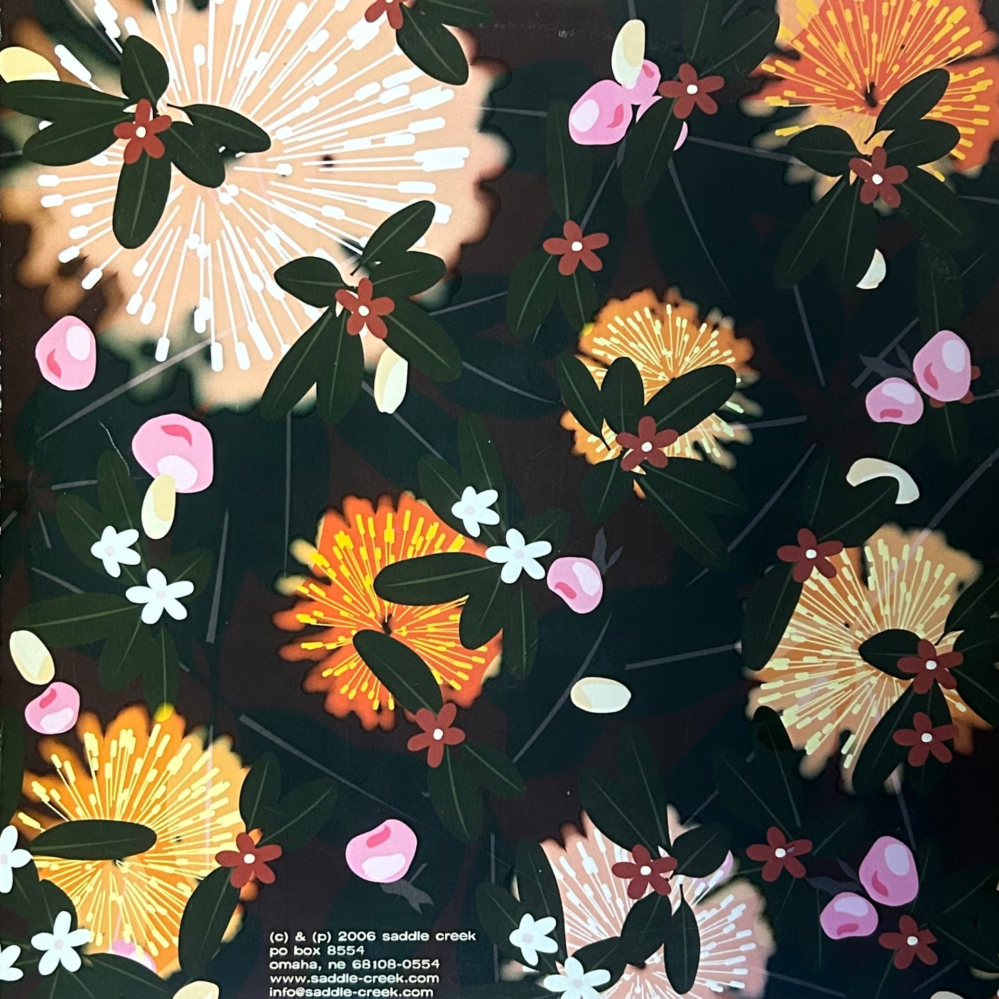 [Used LP] Bright Eyes  / Noise Floor (Rarities 1998-2005)