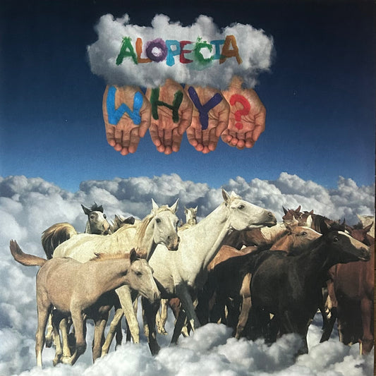 [Used LP] Why? / Alopecia