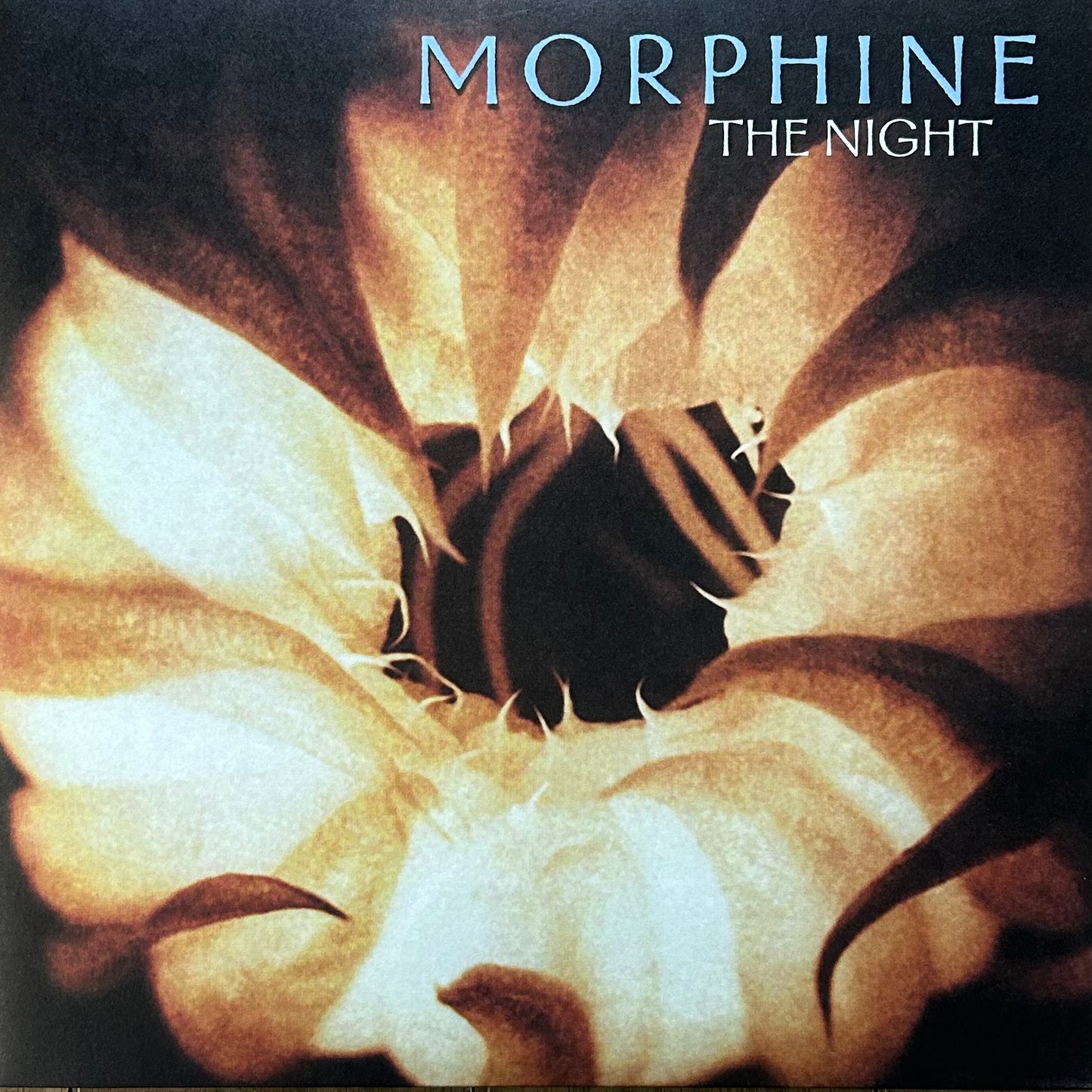 [Used LP] Morphine / The Night