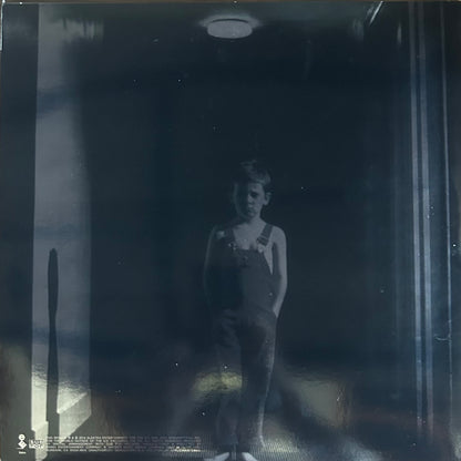 [Used LP] Afghan Whigs, The / Gentlemen