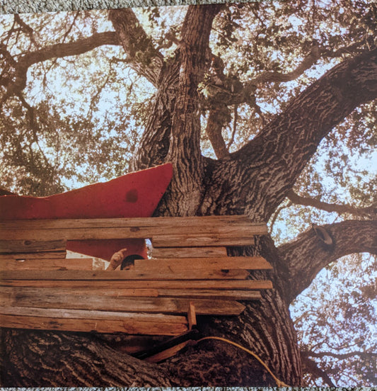 Backseat Lovers, The/Waiting To Spill [LP]