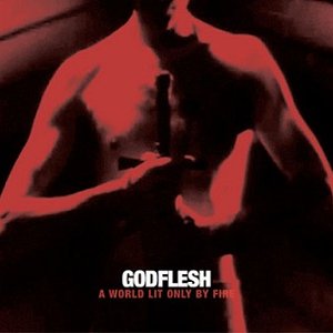 Godflesh/A World Only Lit By Fire (Red Vinyl) [LP]