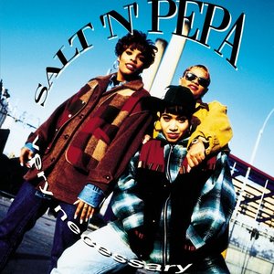 Salt N Pepa/Very Necessary [LP]