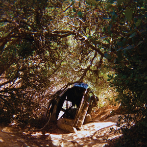 Segall, Ty/Possession [LP]