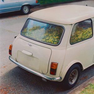 Said The Whale/Dandelion [LP]