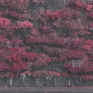 Sleep Token/Even In Arcadia [CD]