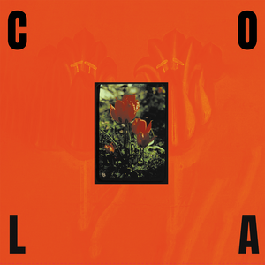 Cola/The Gloss (Indie Exclusive Transparent Olive Green Vinyl) [LP]