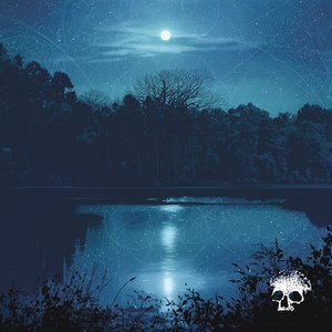 Planes Mistaken For Stars/Do You Still Love Me? (Transparent Ice Blue Viny) [LP]