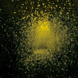 Antlers, The/Burst Apart (Lemonade Vinyl) [LP]