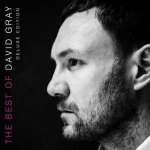 Gray, David/The Best Of David Gray (Orange Vinyl) [LP]