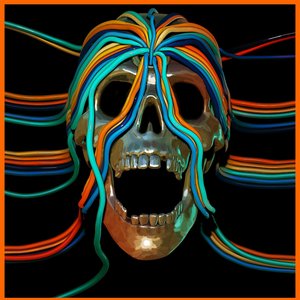 Osees/Intercepted Message [LP]