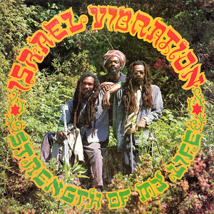 Israel Vibration/Strength Of My Life [LP]