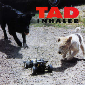 Tad/Inhaler [LP]