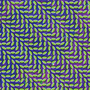 Animal Collective/Merriweather Post Pavilion (15th Ann. Translucent Green & Bluish Vinyl) [LP]