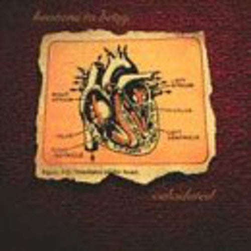 Heavens to Betsy/Calculated (Gold Vinyl) [LP]