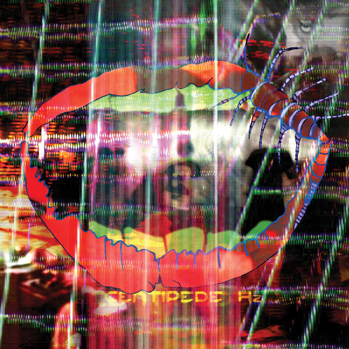 Animal Collective/Centipede Hz [LP]