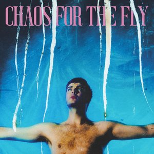 Chatten, Grian (Fontaines D.C.)/Chaos For The Fly (Opaque White Vinyl) [LP]