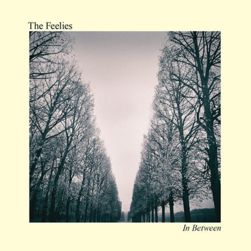 Feelies, The/In Between [LP]