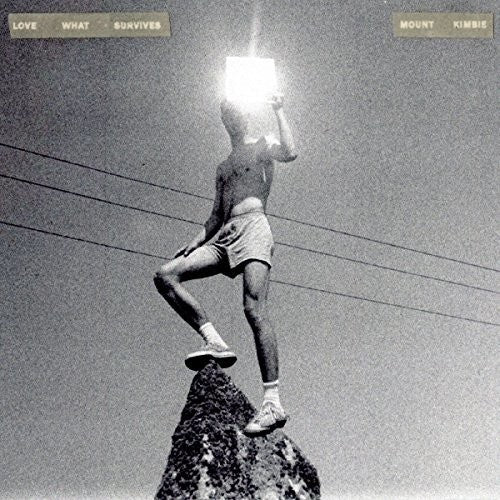 Mount Kimbie/Love What Survives [LP]