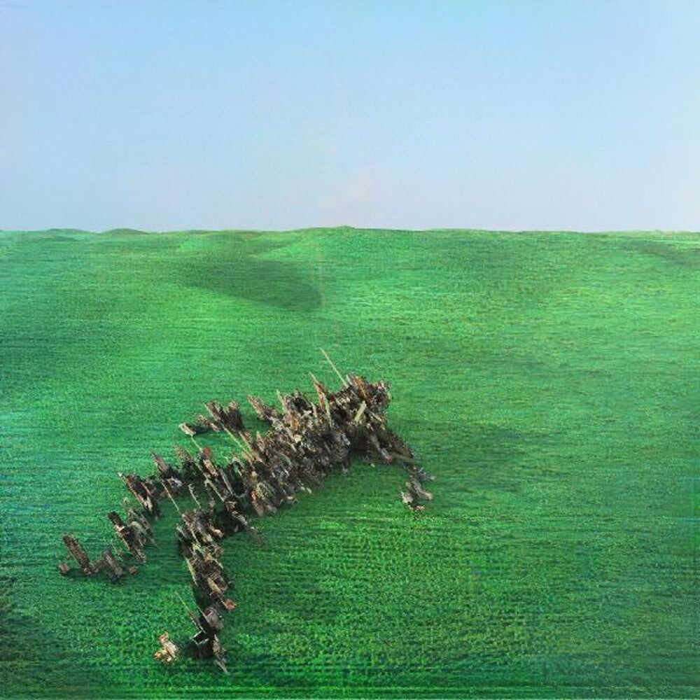 Squid/Bright Green Field (Apricot Vinyl) [LP]