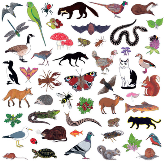 Modern Nature/Island Of Noise [LP]