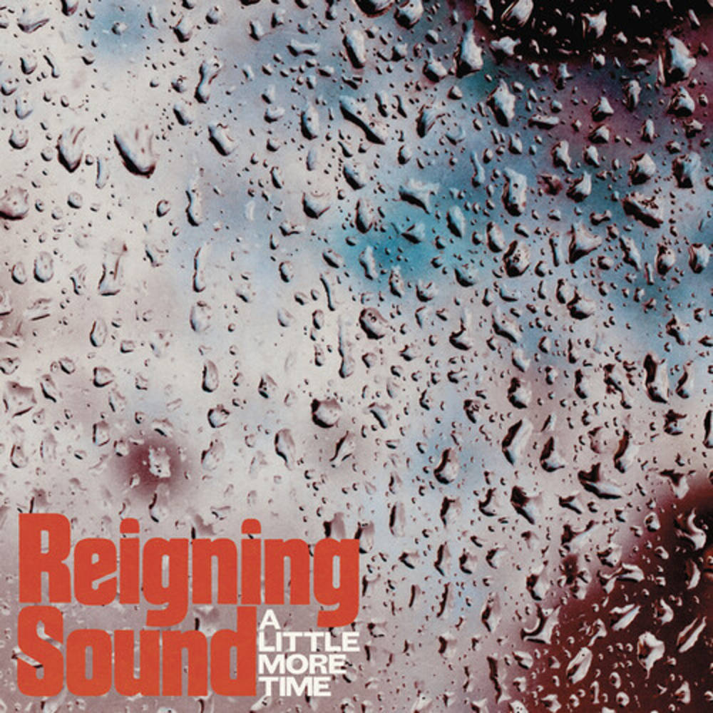 Reigning Sound/A Little More Time With Reigning Sound [LP]