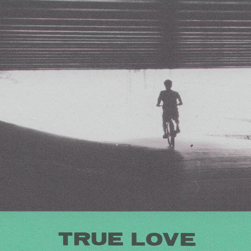 Hovvdy/True Love [LP]