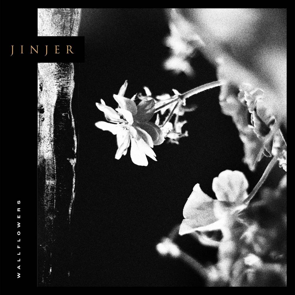 Jinjer/Wallflowers [LP]