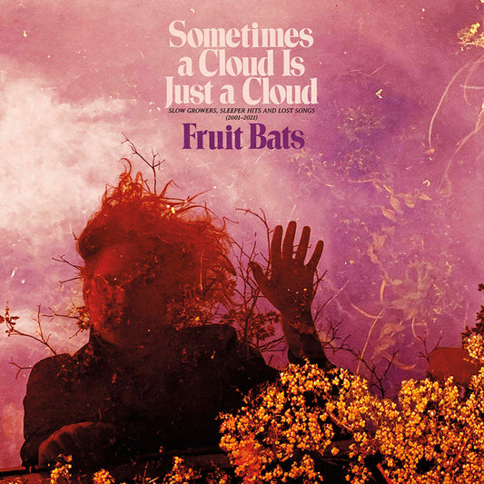Fruit Bats/Sometimes A Cloud Is Just ... 2001-2021 [LP]