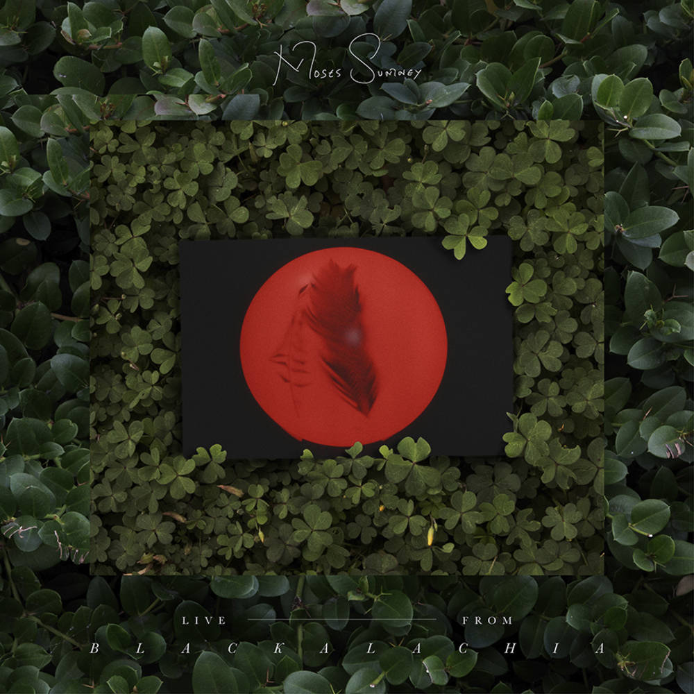 Sumney, Moses/Live From Blackalachia (Coloured Vinyl) [LP]