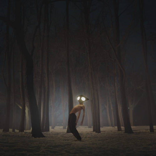 Geese/Projector [LP]