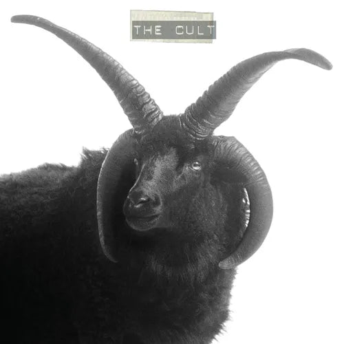 Cult, The/The Cult (2LP Cream Vinyl) [LP]