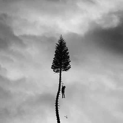 Manchester Orchestra/A Black Mile To The Surface [LP]