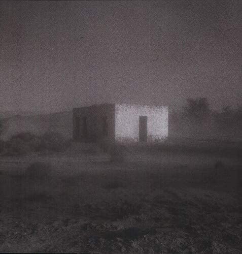 Godspeed You! Black Emperor!/Allelujah! Don't Bend! Ascend! [LP]