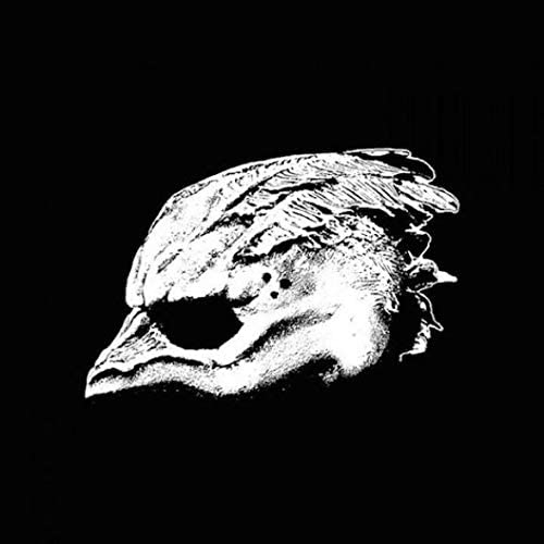 Legend Of The Seagullmen/Legend Of The Seagullmen [LP]