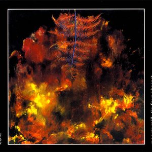 Coil/Moon's Milk (In Four Phases) (3LP Clear Vinyl) [LP]