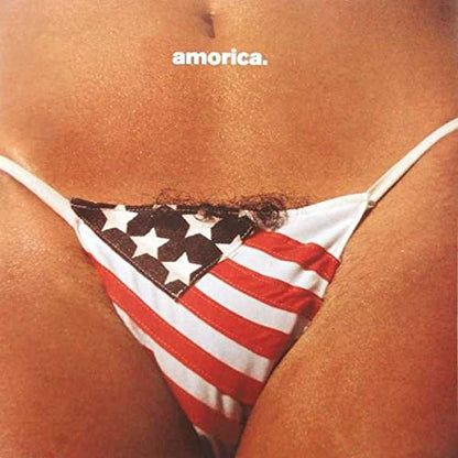 Black Crowes, The/Amorica [LP]