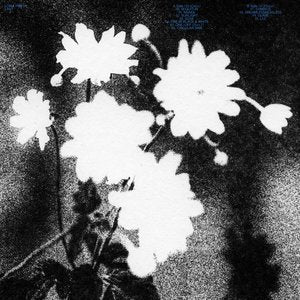 Loma Prieta/Last [LP]