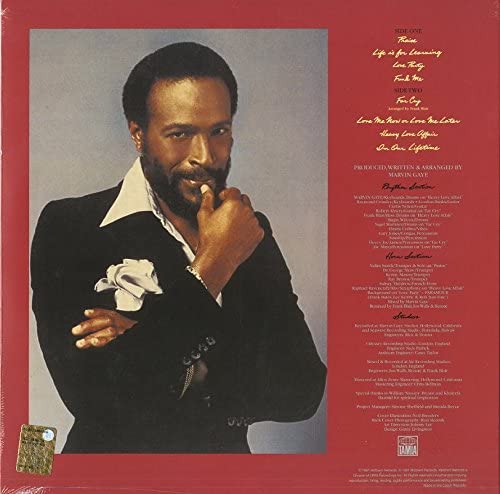 Gaye, Marvin/In Our Lifetime [LP]