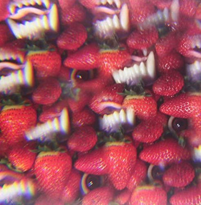 Thee Oh Sees/Floating Coffin [LP]