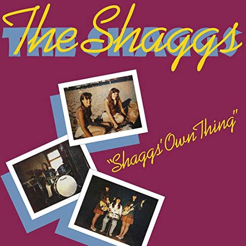 Shaggs/Shaggs' Own Thing [LP]