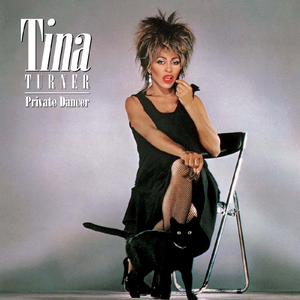 Turner, Tina/Private Dancer [LP]