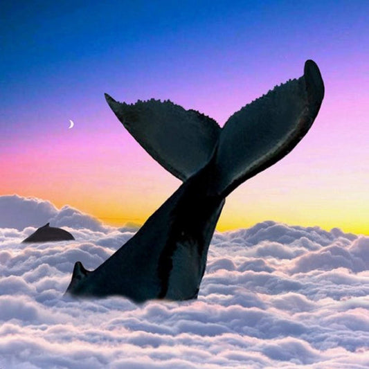 Jerry Cans, The/Echoes [LP]