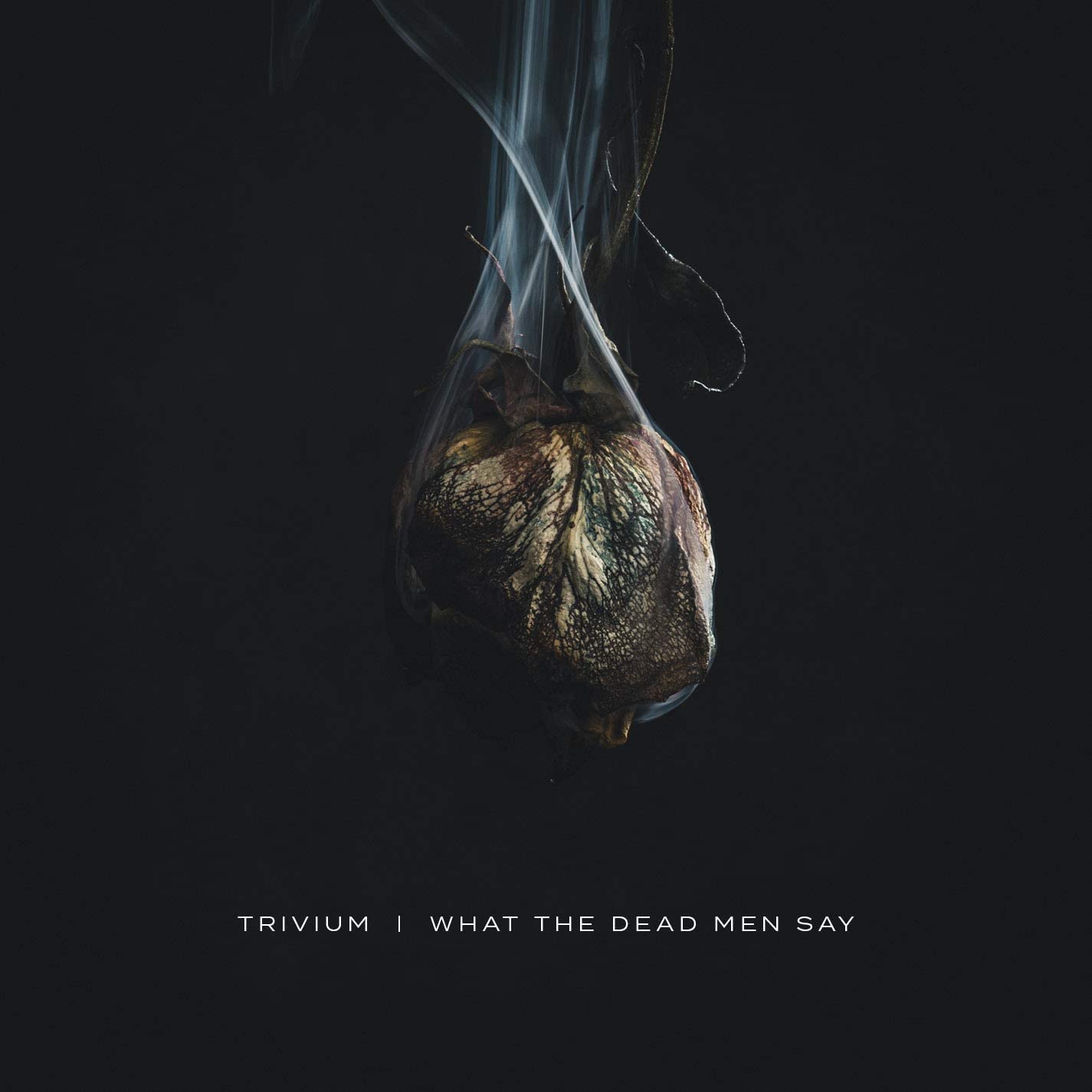 Trivium/What the Dead Men Say [LP]