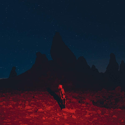 Bridgers, Phoebe/Punisher [CD]