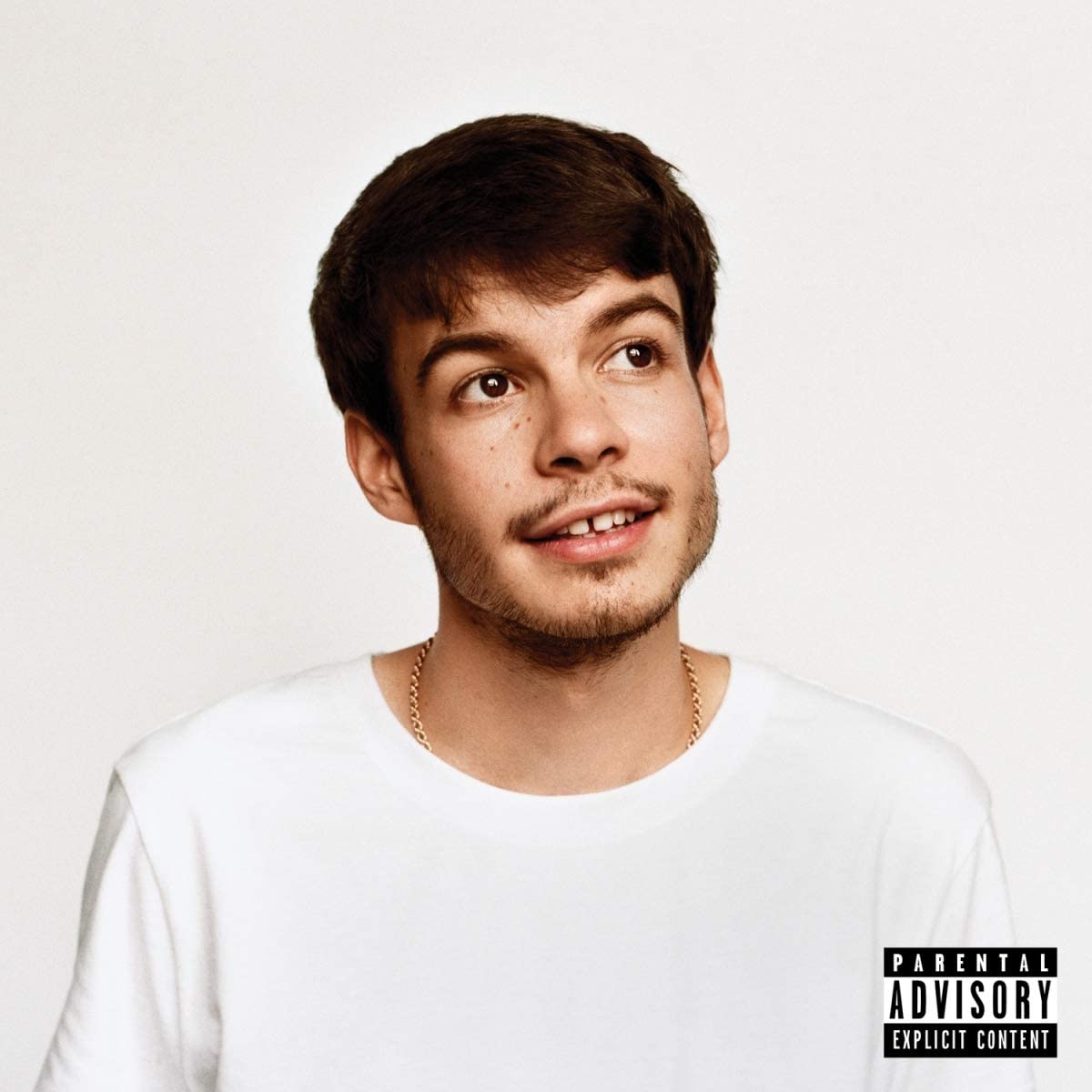 Rex Orange County/Pony [LP]