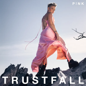 P!Nk/Trustfall [CD]